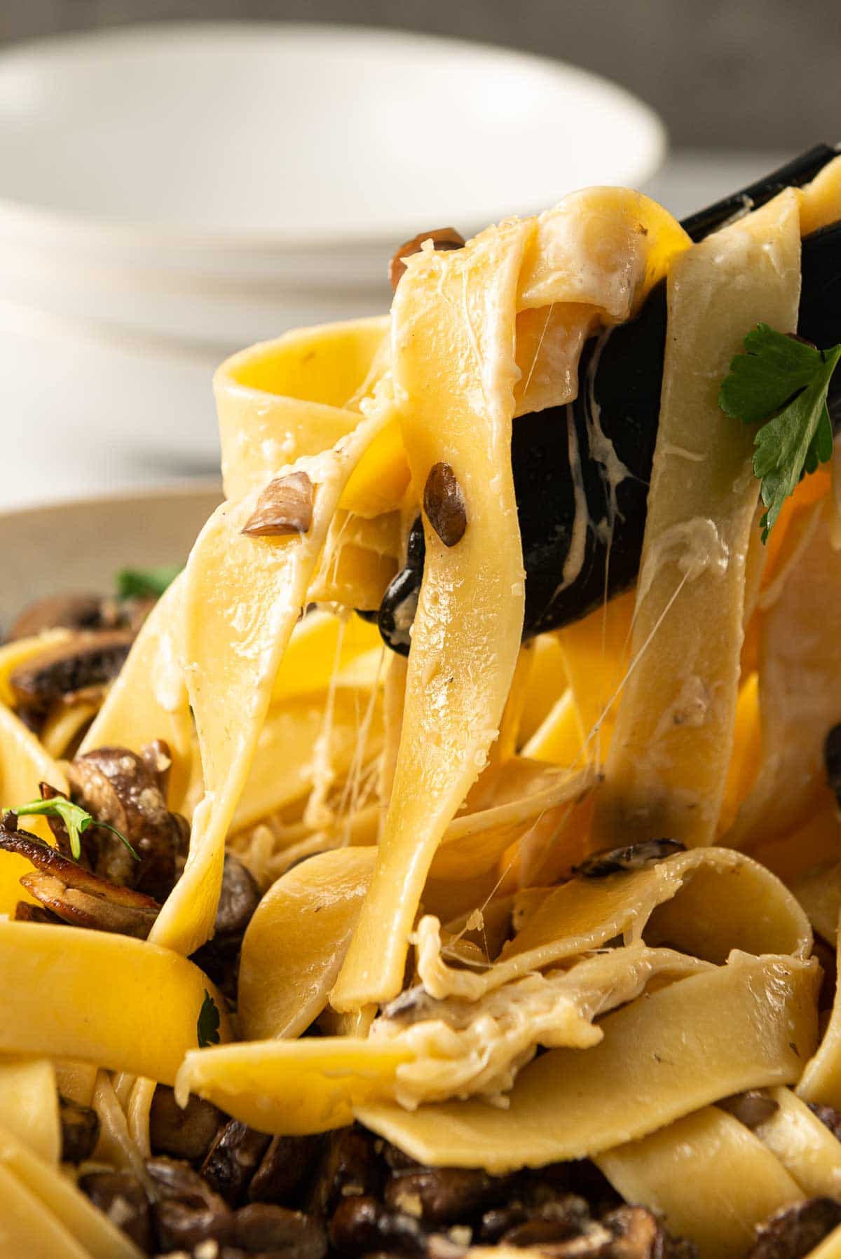 Cheesy pappardelle with mushrooms being picked up using tongs.
