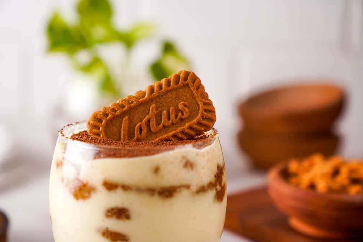 A close-up of tiramisu made using speculoos biscuits with a Lotus Biscoff cookie on top.