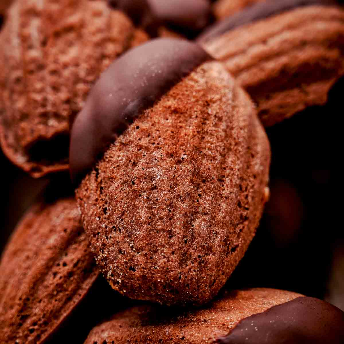 Double Chocolate Madeleines 