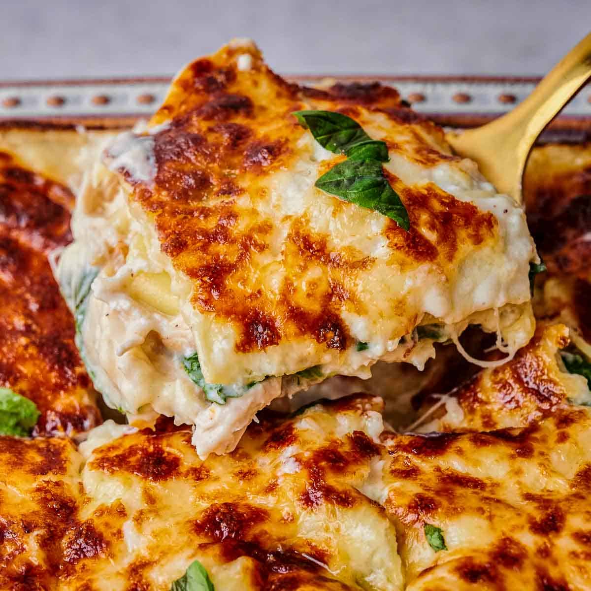 Lasagna made of chicken and alfredo sauce